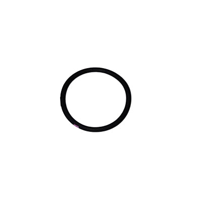 O-Ring, 117559